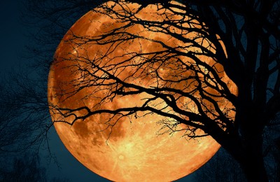 Full Moon Haunted History